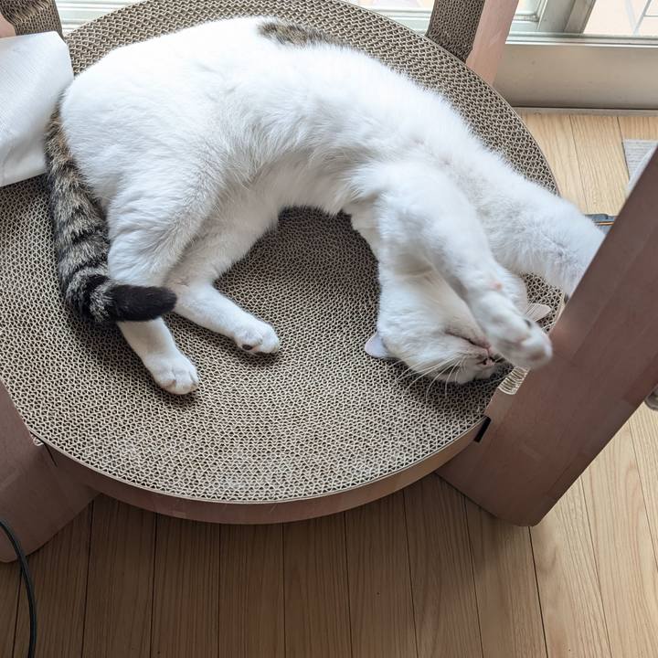 Bc149efa 5af5 4a68 a313 95b8ddff1282 1719719799756