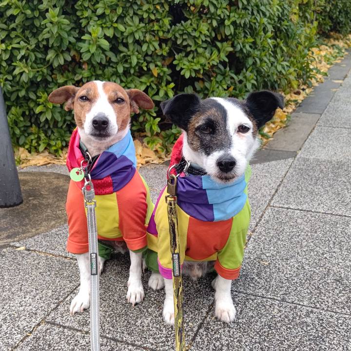 Bc14a050 13a1 4cc7 926d 094b12bda9fc 1703985066506