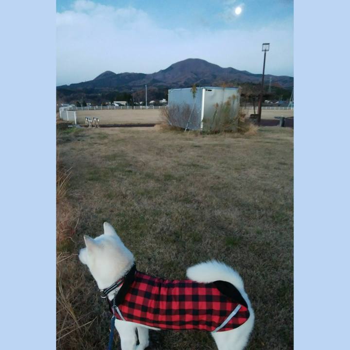 Bc14c3a6 3e62 4135 817d 4e1b54c315f1 1520723071170