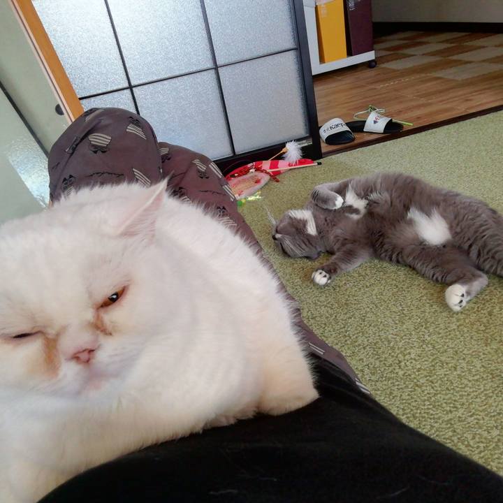 Bc14c685 f947 478b 92ed e6194a0d0297 1716849315345