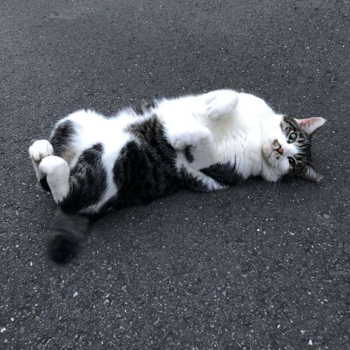 Bc14d85b dbcc 4b69 9bb6 f38d281975dc 1539859673514