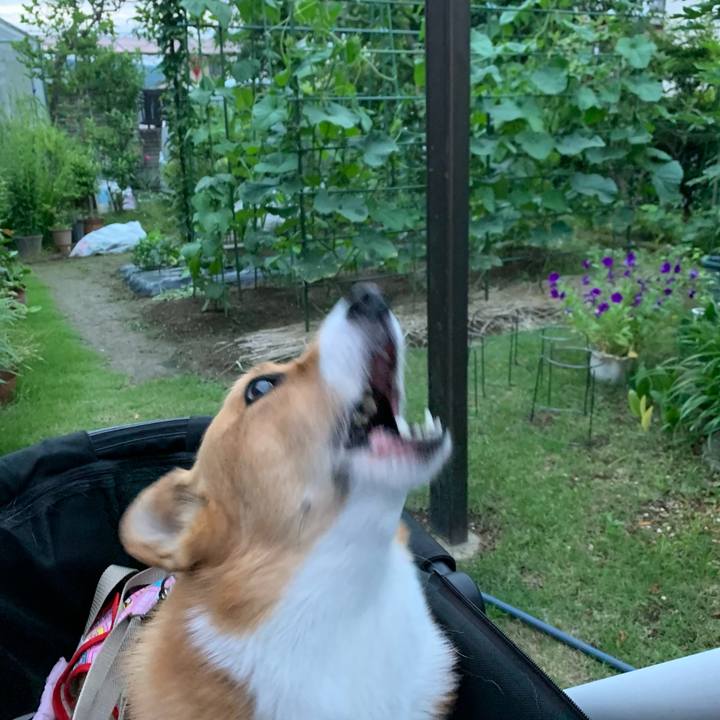 Bc14f089 ae27 42d5 8d0b b6d04eecfc62 1622975784893