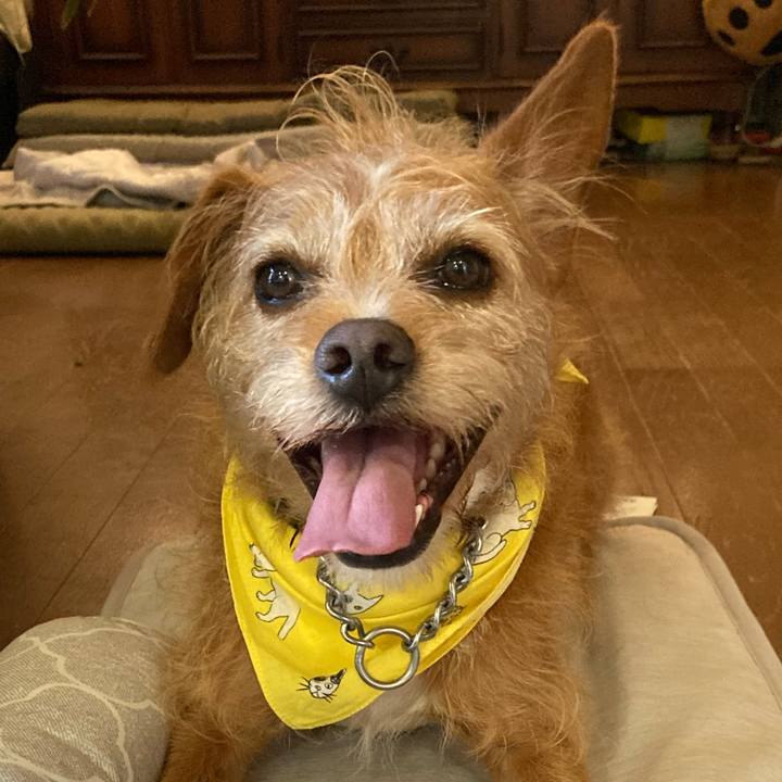 Bc151a54 27ce 4019 90a5 19b60f5078e0 1658923615948