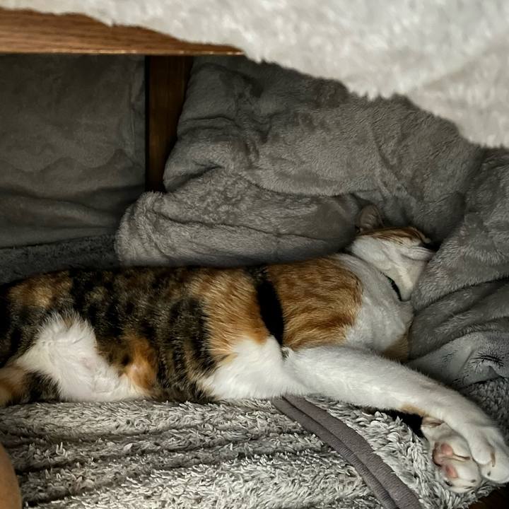 Bc155d61 4626 4d70 a8d6 18893c4cd7dd 1746269402410