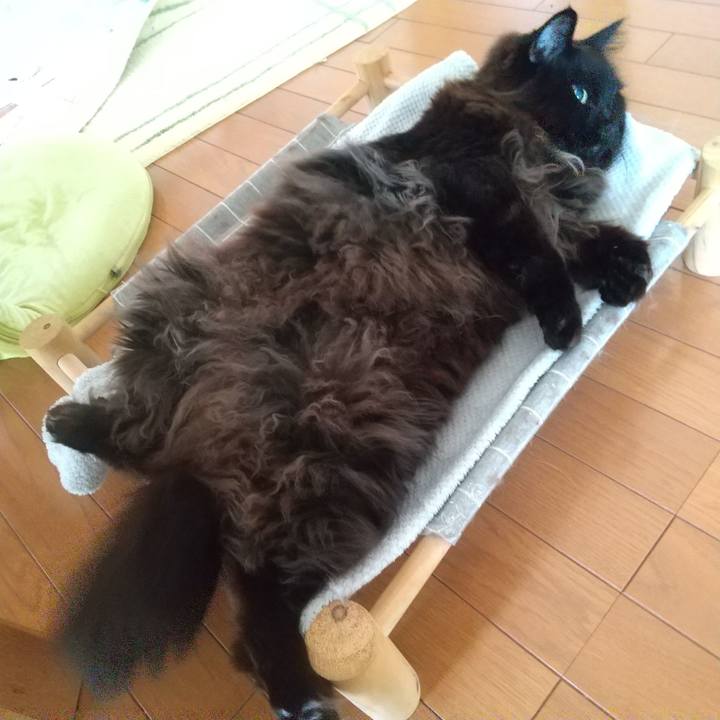 Bc15a3ee 9cc2 4176 8c1f ea69c3c35f8d 1709071945621