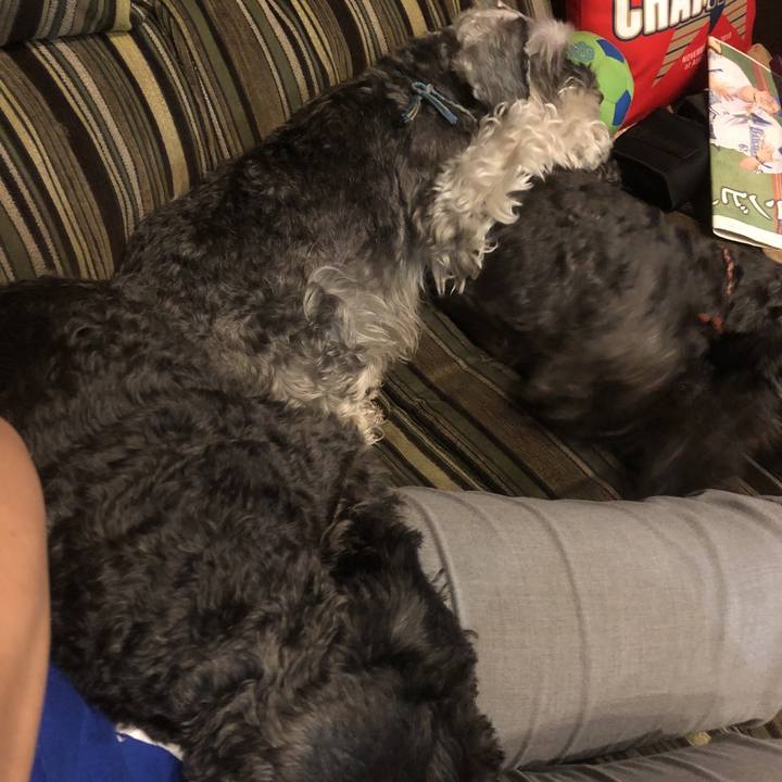 Bc15c20c b2a5 480c 8a1a 61ba76cc1aa6 1560171397072