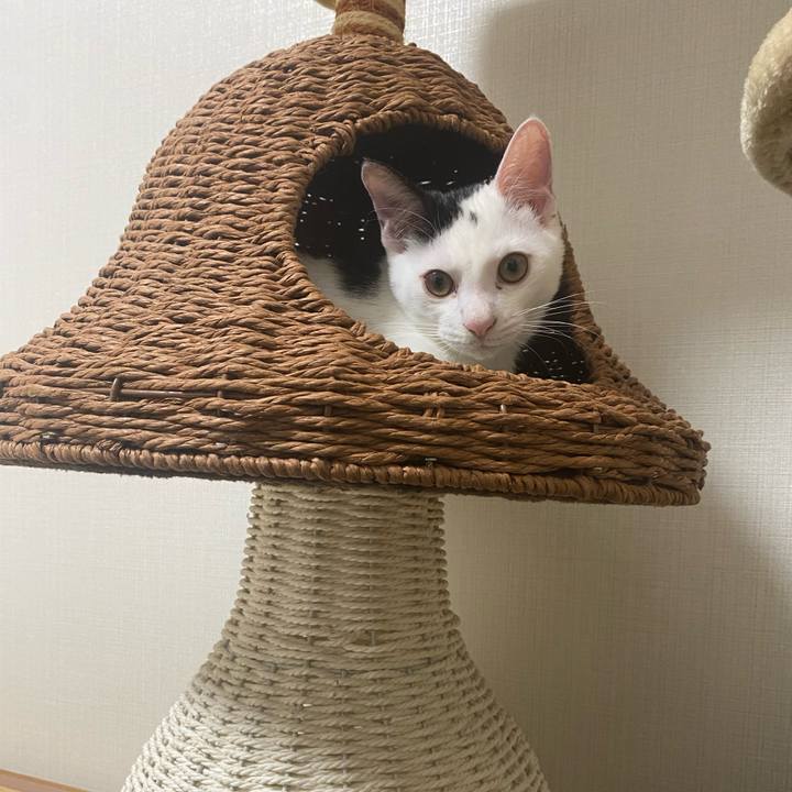 Bc15e82b 34d5 4967 9edb 2853e3da6095 1667645445232