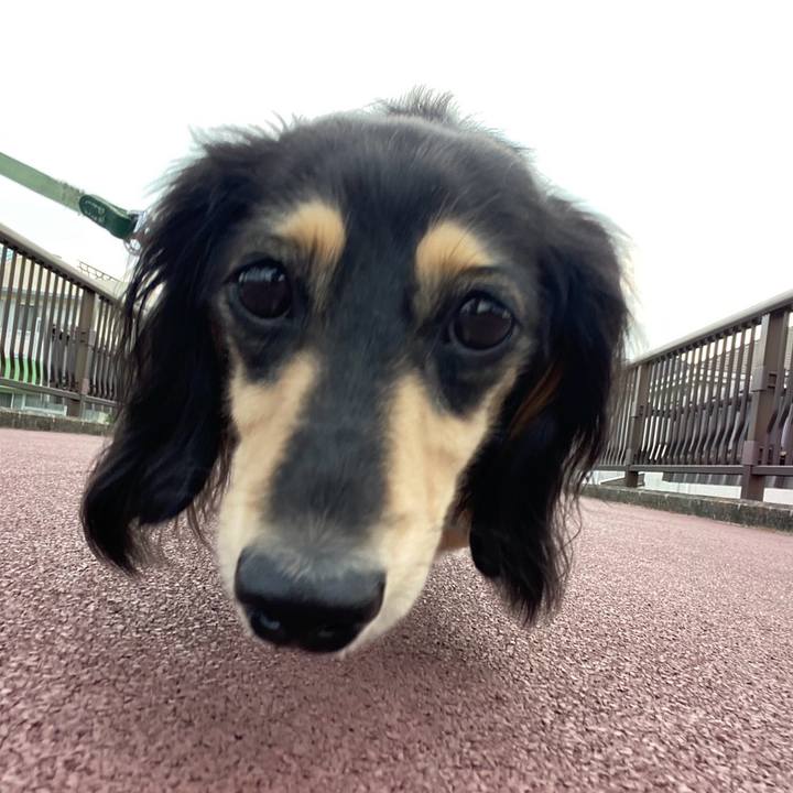 Bc15f5d1 3b26 4aa2 9308 03fc97be1c69 1754434405250