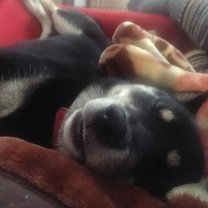 Bc160a9c 210b 46b2 8e83 a4471b0adce6 1544249464053