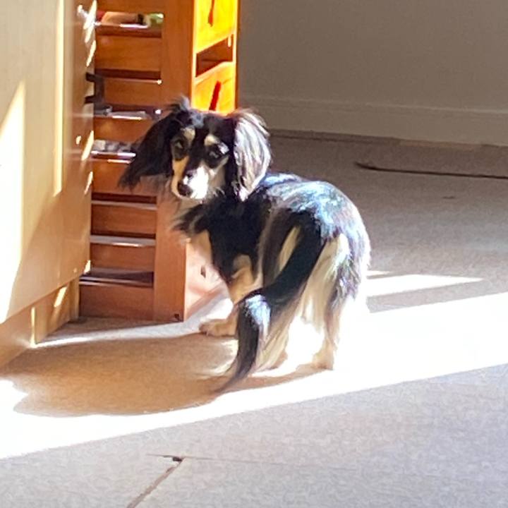 Bc166c3e f614 4842 9787 630ec679f52c 1740699219156