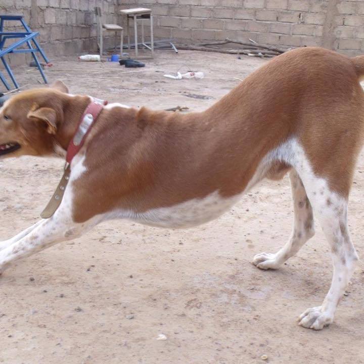 Bc167b61 3a99 40be 8ed1 a3a333bfdf88 1556543838074