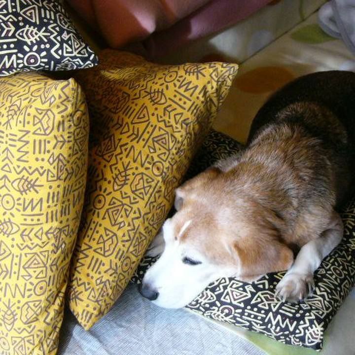 Bc168c7a 60f3 48b4 b000 78a59d62f4e5 1658274811900