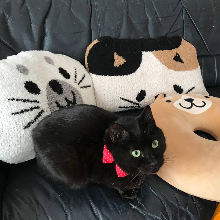 Bc169ab2 fd31 4259 8ff2 d8848d5b3d59 1561249618573