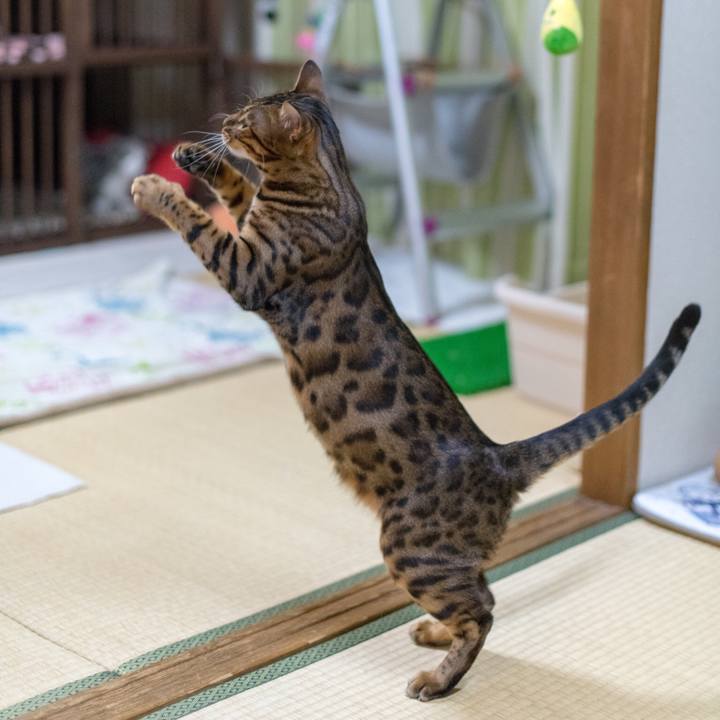 Bc16b678 92cd 4399 9d7c f3a209a5f339 1519402048220