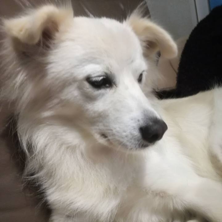 Bc16d4ae e4dc 48da baee 61193d2c783c 1509613997722