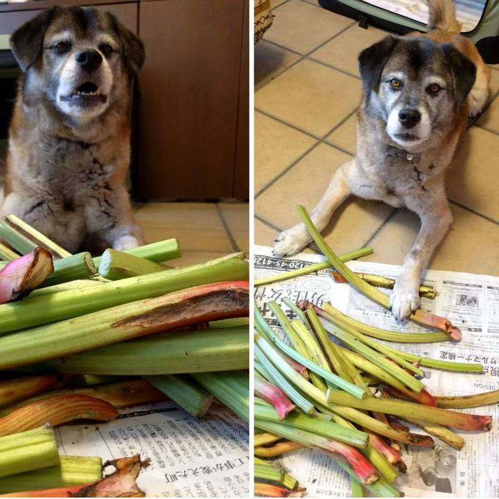 Bc16e0f2 f858 4f92 a90c 12219ff3e49a 1530510413356