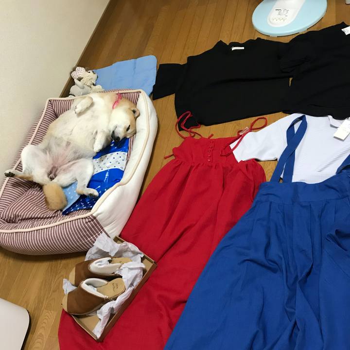 Bc171c35 7f06 4f65 bfbe 40cbeb7df07f 1530339502009