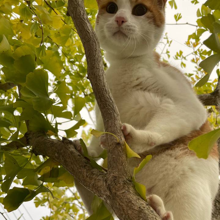 Bc17a9ba d5b1 44fe b1e3 fb7483c90a7d 1667515141274