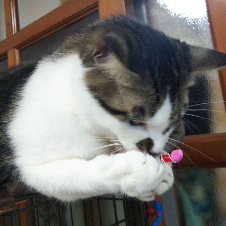 Bc17bcc3 f3f8 4043 87eb 0c191ef57f3d 1644153182196