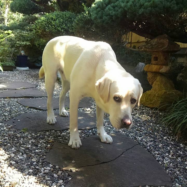 Bc17c9b1 ff03 486c a1ca e59471b30637 1508292224291