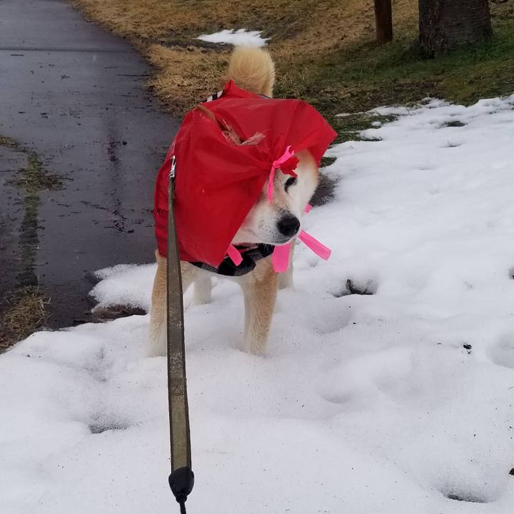 Bc17cca2 4748 4714 a326 cae4603e00e4 1711424438581