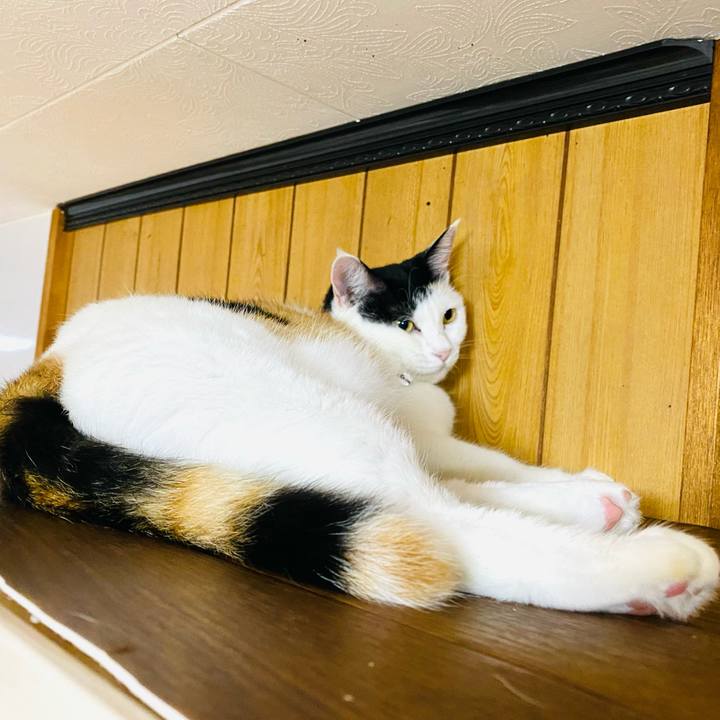 Bc17e4b1 6dd9 4d80 9058 bc14d89afea5 1663881315013