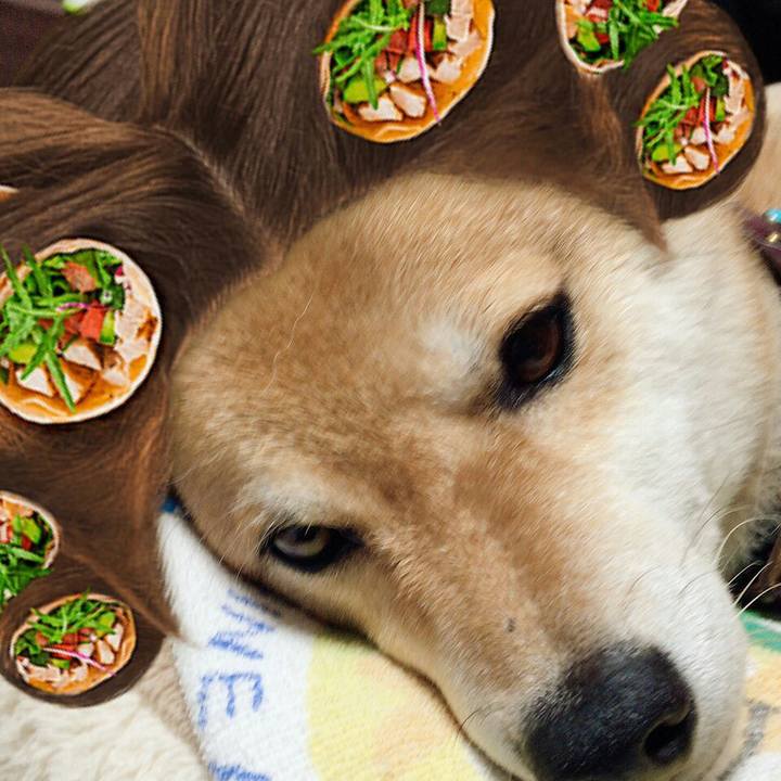 Bc180c36 3c18 450f 9296 92d8033ae6eb 1564048266491