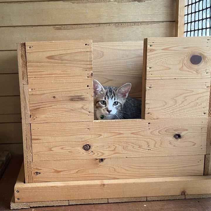 Bc183371 ddd6 4550 8c53 c47191b1ccb2 1625616995364