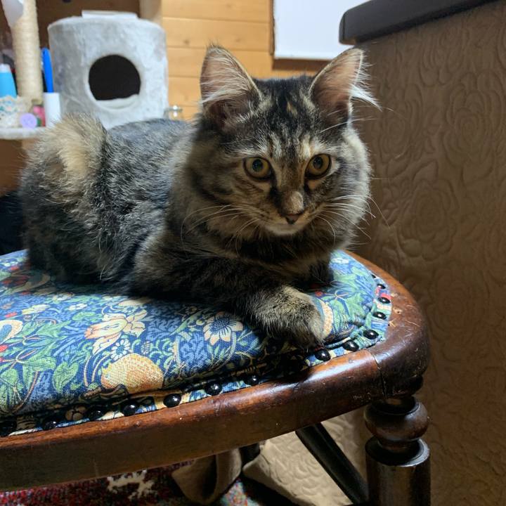 Bc1873e2 0f02 49af 9a72 8ab968e3eaf7 1642333197221