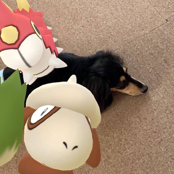 Bc18ca42 aeb6 4439 b203 65cc452be604 1712965953252