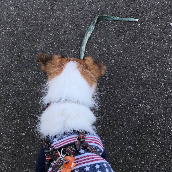 Bc18cdd0 4697 4df3 b641 898bc46d431a 1540801092410