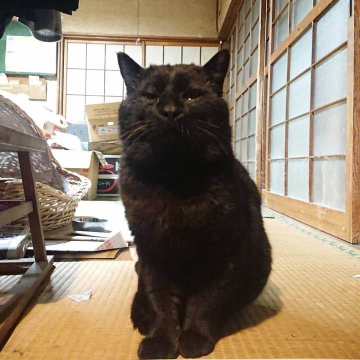 Bc18eeed f54d 4a33 8b76 8e3d4485878c 1617016289221