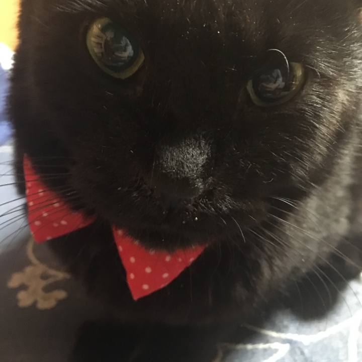 Bc191b8d d0ec 478a 8ae5 ea8a747d5bd7 1549111808257