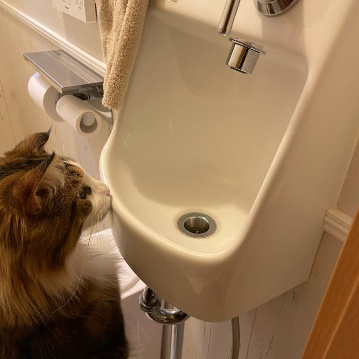 Bc191c61 1d1a 4cfb 92c6 5e1c8202edc7 1654207857904