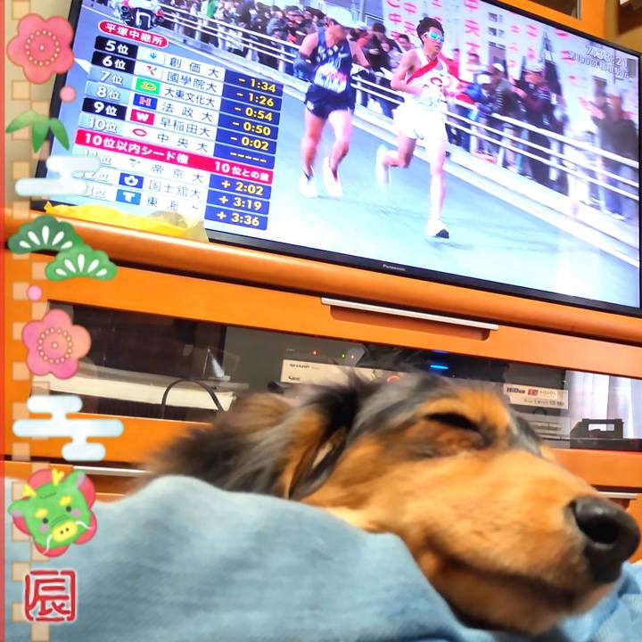 Bc191d92 987c 4830 a83e db287fa43c6d 1704245675754