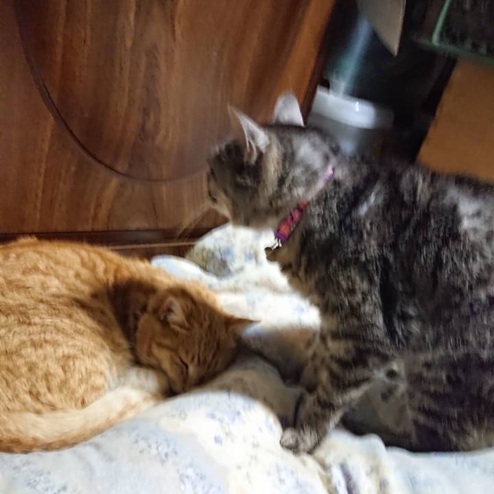 Bc192417 3917 4ac9 b5a6 eccad96be46b 1583152969512