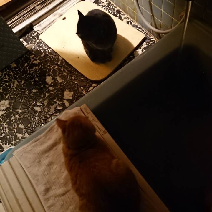 Bc192df7 7332 4888 a6f0 0314ed183361 1640511381457