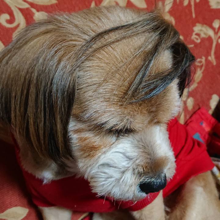 Bc194274 2f47 4d42 b503 0ce4d1768c53 1579181882591