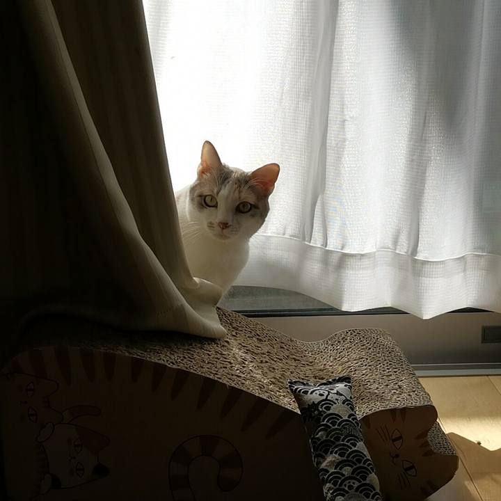 Bc19a21d 50ca 4c3d a20f 96a538c2fb0a 1613290484836