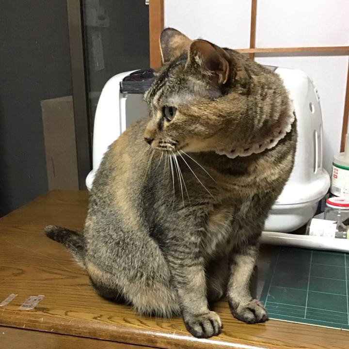 Bc19b51d 6122 4527 a6e3 bf45e1335458 1688559590830