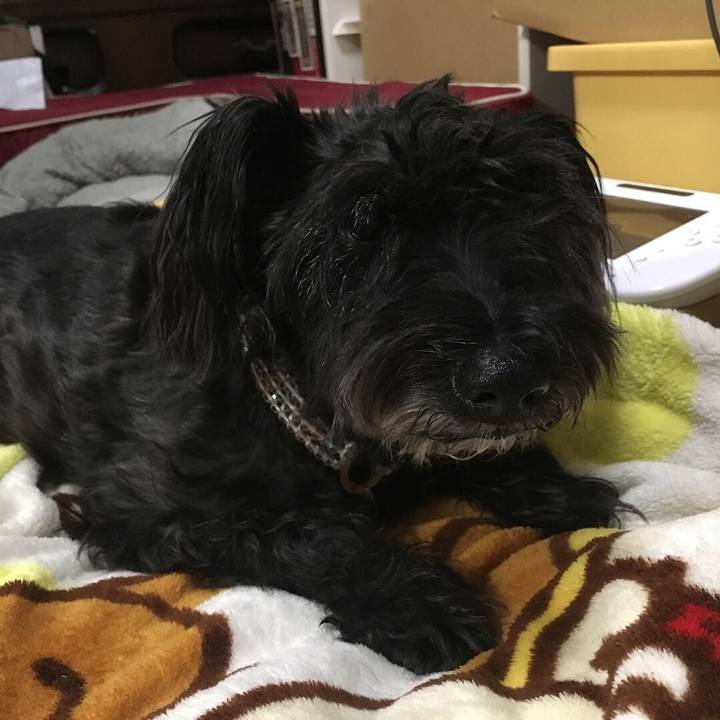 Bc19e2ca ffc7 45a6 9c10 98206cfd8671 1541083784547