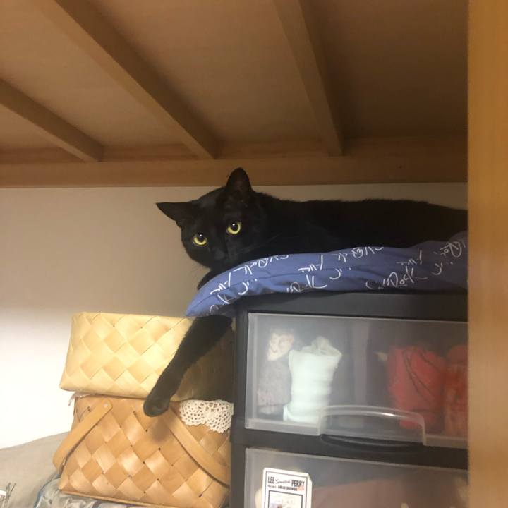 Bc19ebdc 733d 4828 9095 bcbae81ec49a 1555935791206