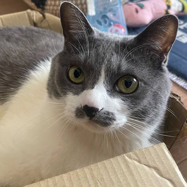 Bc1a0552 0c04 461f 85ac abb9cd510622 1715738129591