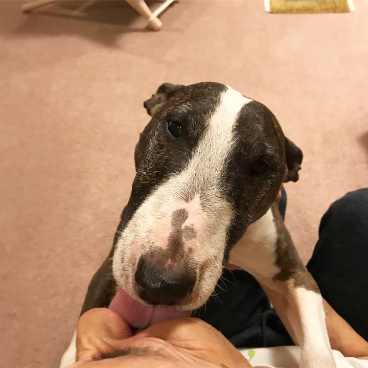 Bc1a0885 ab45 4c93 9e10 37fa032a9ca9 1525434248022