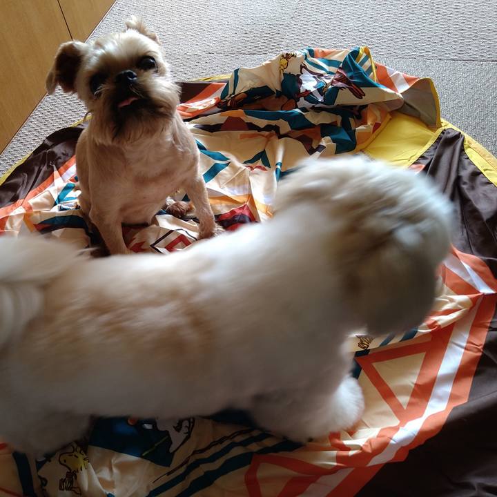 Bc1a36cf 3a59 4792 be4b f511ef433801 1620525245380