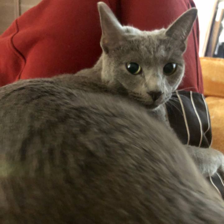 Bc1a3b8c ff39 4140 acde 0fc94f7d35ce 1573007991390