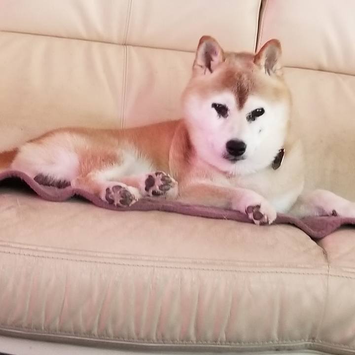 Bc1a5ae7 30af 4861 b432 7005850b7df5 1753402182021