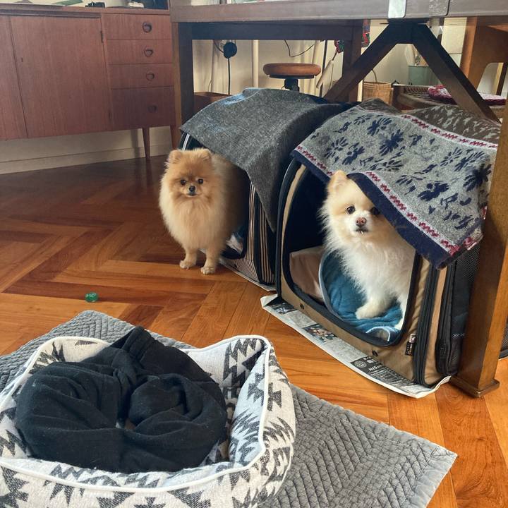 Bc1a8bac 15bf 447d ad37 f8fc48c0001b 1770591314532