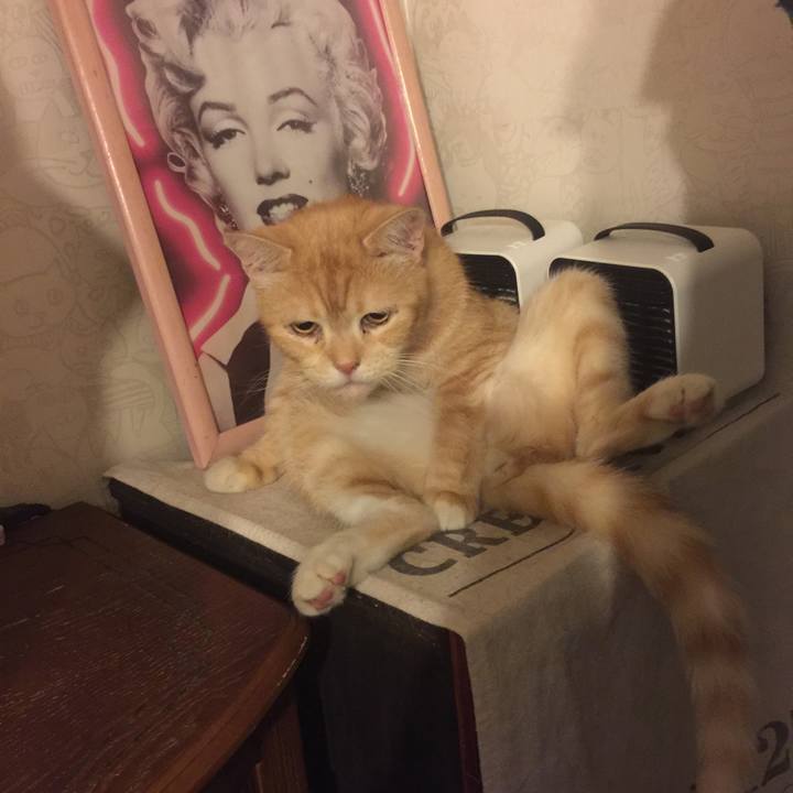 Bc1a9966 1389 4116 aec4 d0010bdb649d 1569682706950