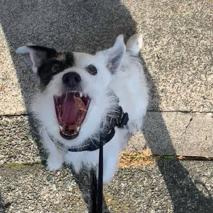 Bc1ac23d 6f98 44cb 9122 0df04cb60e1f 1718096358645